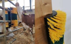 Für viele Tierarten geeignet-